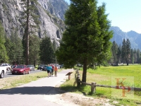 Weekend Traffic, Yosemite Valley